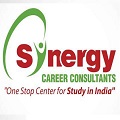 Synergy Career Consultants